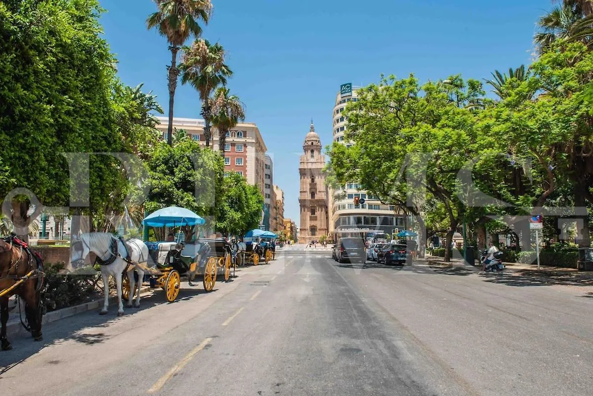 Exclusive Apartment In The Centre With Parking Rems Malaga Spain